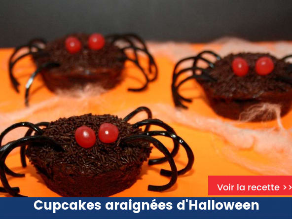 Spider Cupcake